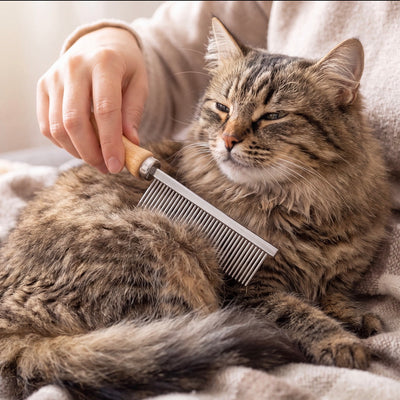 Petvito DeShed Pro Wooden Handle Comb — Cat & Dog Grooming Tool