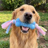 Petvito Dental Rope Bone Toy — Chew, Tug and Teeth Relief in One