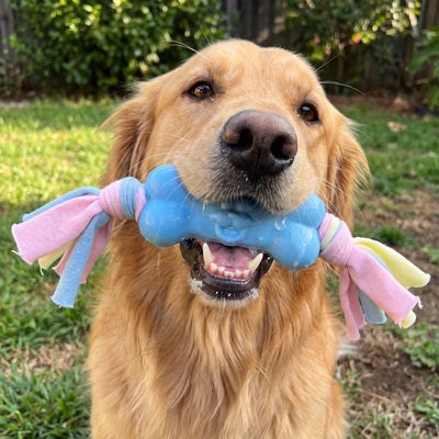 Petvito Dental Rope Bone Toy — Chew, Tug and Teeth Relief in One