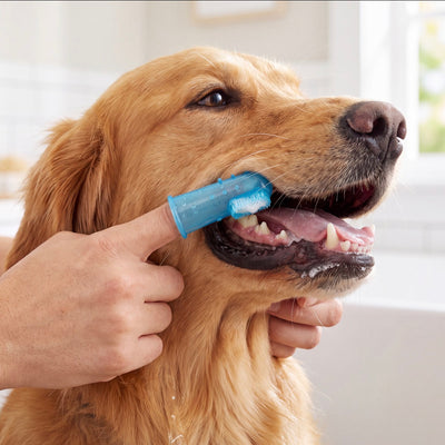 Petvito CleanBrush Silicone Finger Toothbrush