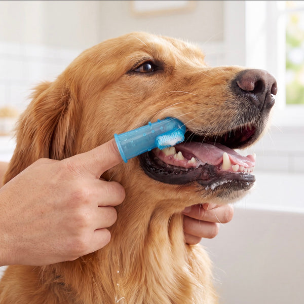Petvito CleanBrush Silicone Finger Toothbrush