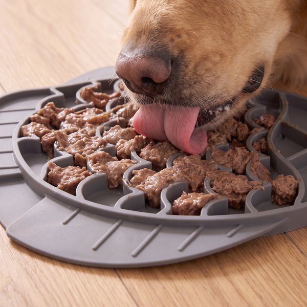 Petvito Fish-Shaped Slow Feeder Bowl — Slows Down Eating, Reduces Bloating